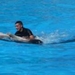 20120308 16u07 Loro parque  Spanje Tenerife colon guanahani 149