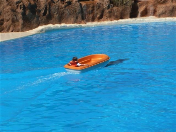 20120308 16u15 Loro Parque  Spanje Tenerife colon guanahani 157