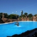 20120308 16u19 Loro Parque  Spanje Tenerife colon guanahani 158