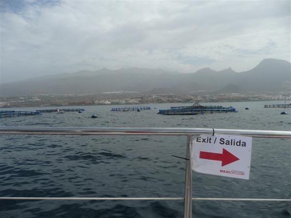 20120310 11u33 Spanje Tenerife colon guanahani 166