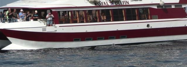 20120310 11u55  Spanje Tenerife colon guanahani 173