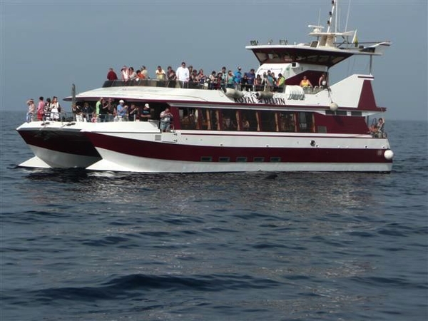 20120310 11u56  Spanje Tenerife colon guanahani 174