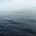 20120310 12u37  Spanje Tenerife colon guanahani 192