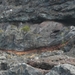 20120310 13u37 Spanje Tenerife colon guanahani 215