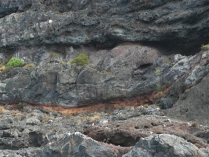 20120310 13u37 Spanje Tenerife colon guanahani 215