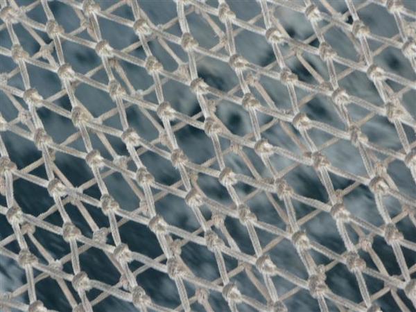 20120310 13u39 Spanje Tenerife colon guanahani 216