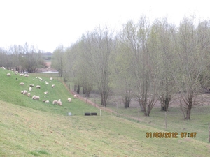 Doornenburg, 31 maart 2012 022