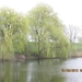Doornenburg, 31 maart 2012 053