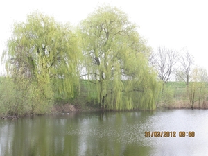 Doornenburg, 31 maart 2012 053