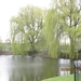 Doornenburg, 31 maart 2012 054