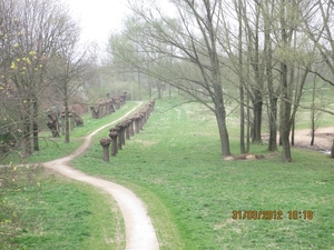 Doornenburg, 31 maart 2012 062