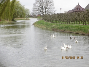 Doornenburg, 31 maart 2012 080