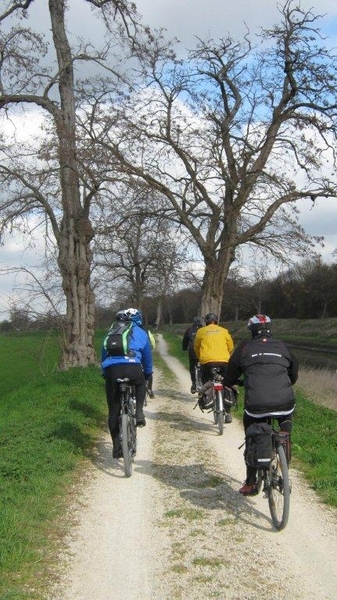 Fietsen Westuit Grimbergen 2012 046