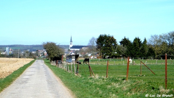 2012_04_01 Villers-Deux-Eglises 58 Senzeilles