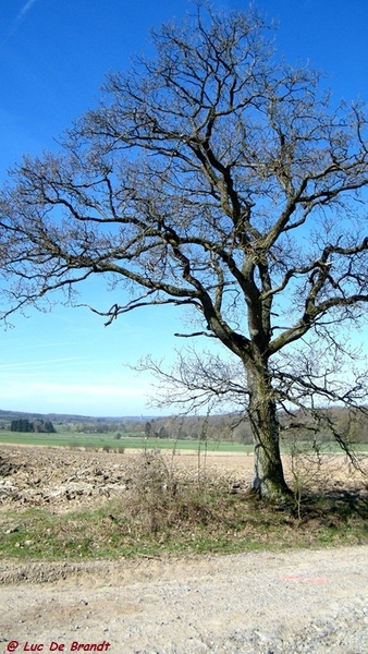 marche Adeps Villers-Deux-Eglises Wallonie