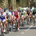 Gent - Wevelgem 25-3-2012 067