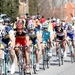 Ronde van Vlaanderen 1-4-2012 240