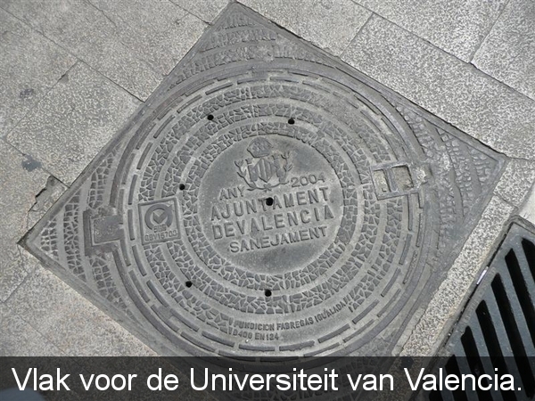 20090416 14u51  Valencia rooster in het voetpad aan de Universite