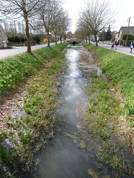 32-Weelderige plantengroei van waterplanten