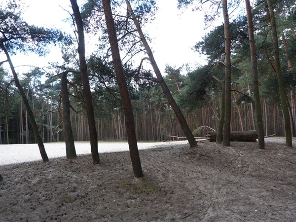 38-Kloosterbos-Wachtebeke