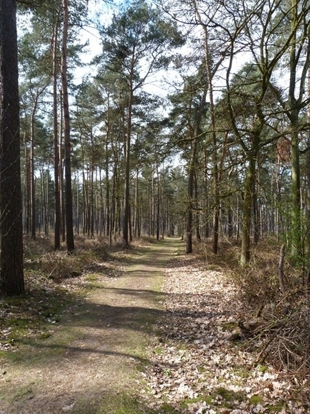 48-Kloosterbos 100ha groot