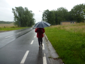 24juni Marke 39ste voettocht der vlasstreek