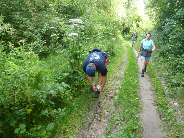 29july Everbeek 32ste Everbeekse wandeltocht