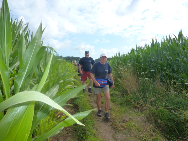 29july Everbeek 32ste Everbeekse wandeltocht