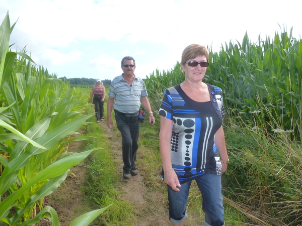 29july Everbeek 32ste Everbeekse wandeltocht