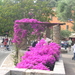 bloemen