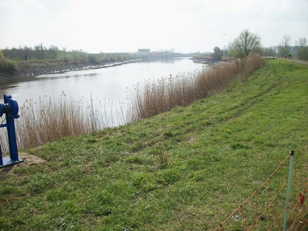 080-De Schelde-Berlare