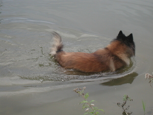 dan een duik in het frisse water