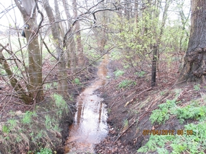 Ughelen, 7 april 2012 009