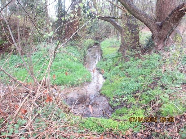 Ughelen, 7 april 2012 018