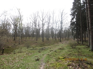 Ughelen, 7 april 2012 024