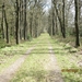 Ughelen, 7 april 2012 034
