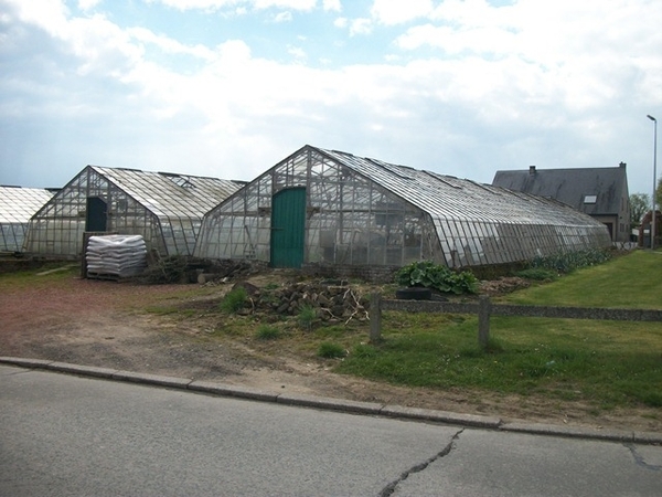 48-Druivenserres-Duisburg