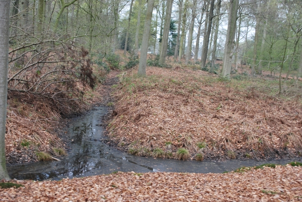 2012-04-03 JanMed Grotenhoutbos Vossel  (132)