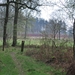 2012-04-03 JanMed Grotenhoutbos Vossel  (145)