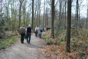 2012-04-03 JanMed Grotenhoutbos Vossel  (151)