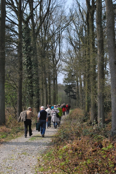 2012-04-03 JanMed Grotenhoutbos Vossel  (153)