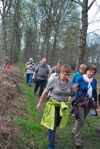 2012-04-03 JanMed Grotenhoutbos Vossel  (99)