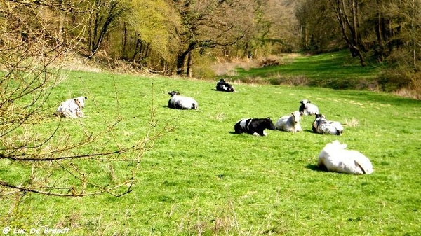 marche Adeps wandeling Petigny Wallonie