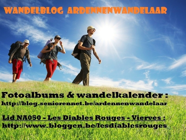 blog ardennenwandelaar les diables rouges