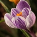 Guido_Bloem-a_201203191