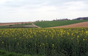 PARIJS-ROUBAIX-zicht op de omgeving