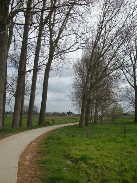 24-Natuurwegen in Haaltert