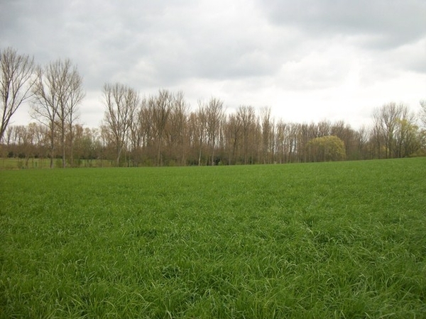 55-Natuurgebied-Kerksken