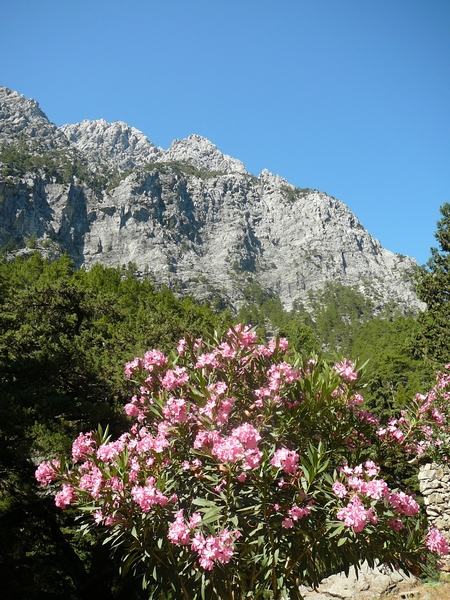 KRETA 2008-358