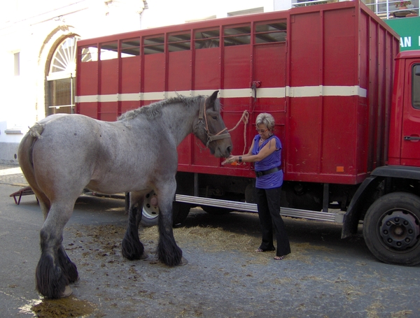 Ik kan het niet laten h...